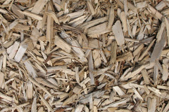 biomass boilers Wasps Nest