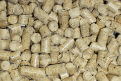 Wasps Nest biomass boiler costs